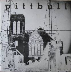 Pittbull : I've Given Up - Don't Make Me